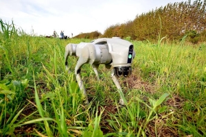 Robot Dog Patrols Greenhouses to Detect Crop Problems Early
