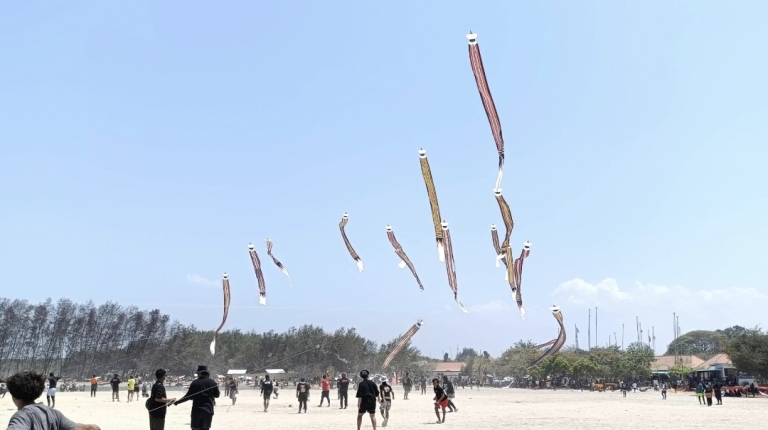 763 Traditional Balinese Kites Fill Sanur Sky at 10th Denpasar Kite Festival