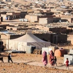 Tindouf Camps Infravest Scandal Raises Questions Over Polisario Finances, Wilson Lalengke Calls for Camp Closure